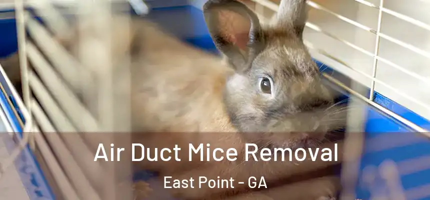 Air Duct Mice Removal East Point - GA