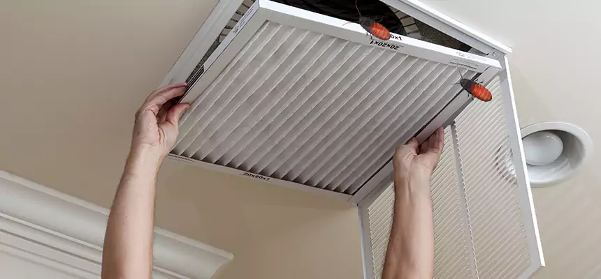 Preventive Cockroach-Proofing for Ducts in East Point