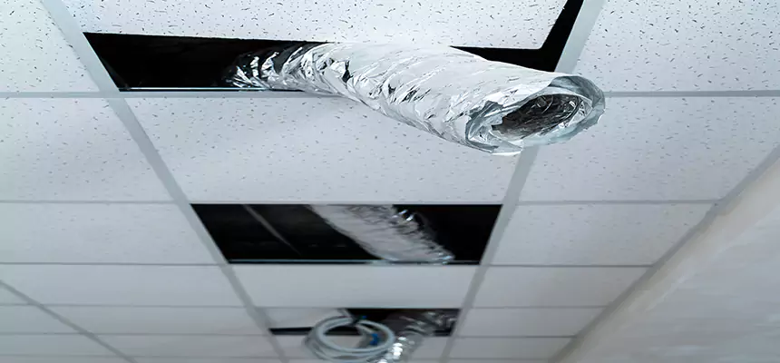 Affordable HVAC Sanitizing After Pest Removal in East Point