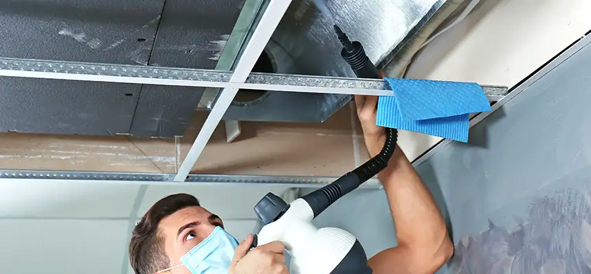 Our Air Duct Rodent Removal Services in East Point, GA