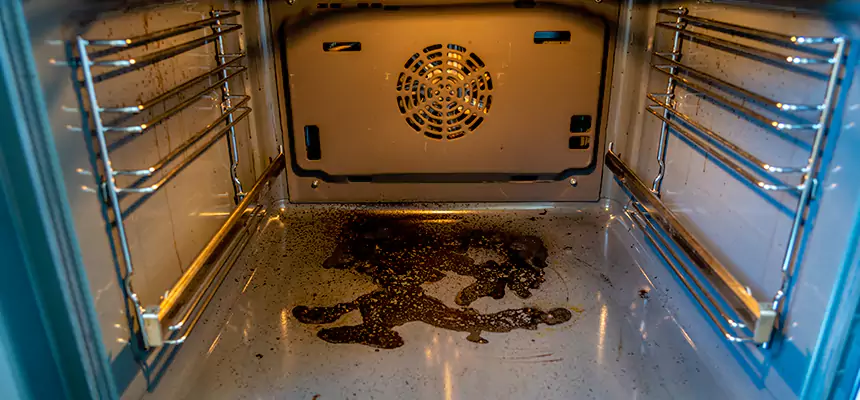 Our Dryer Vent Mold Cleaning Services in East Point, GA