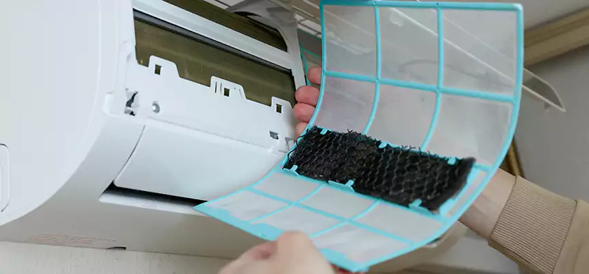 Gentle Ductwork Odor-Control Pet Dander Duct Cleaning in East Point, GA