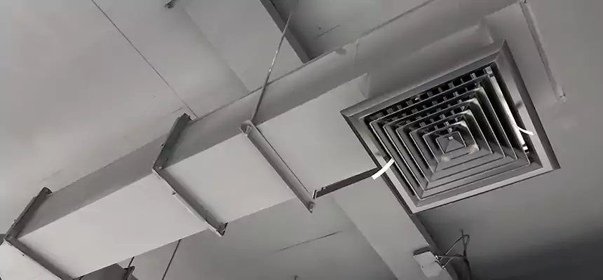 Our Rodent Droppings In Vents Services in East Point, GA