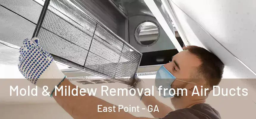  Mold & Mildew Removal from Air Ducts East Point - GA