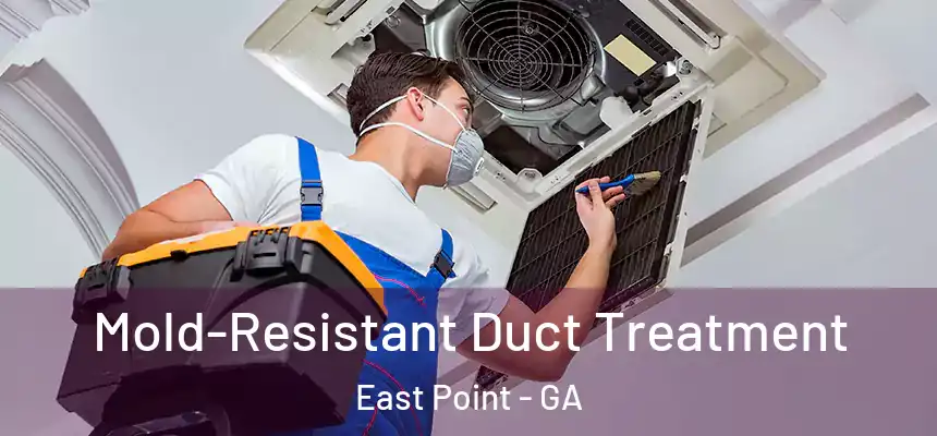  Mold-Resistant Duct Treatment East Point - GA