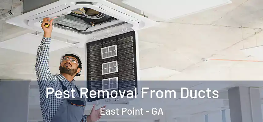  Pest Removal From Ducts East Point - GA