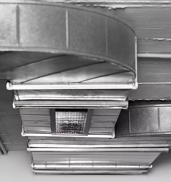 Professional Air Duct Pest Removal in East Point, GA