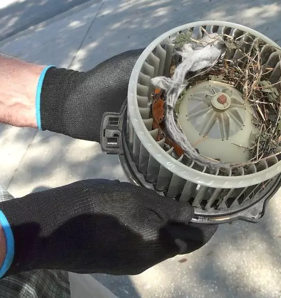 About Air Duct Rat Removal in East Point, GA