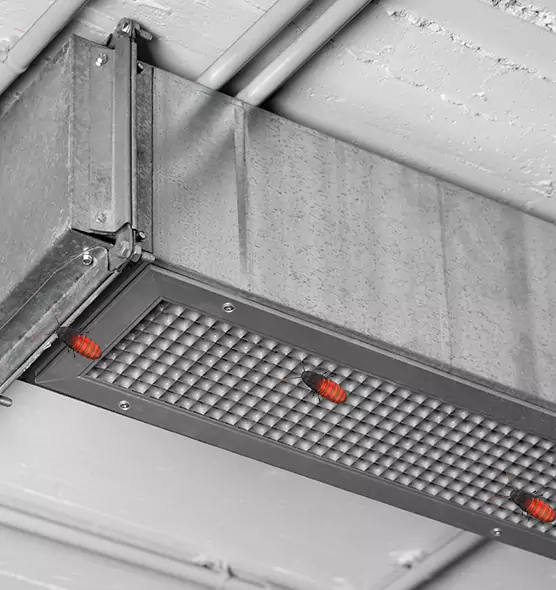 Affordable Insect Removal from Air Ducts in East Point, GA
